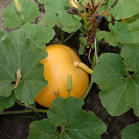 туристично розважальний комплекс 