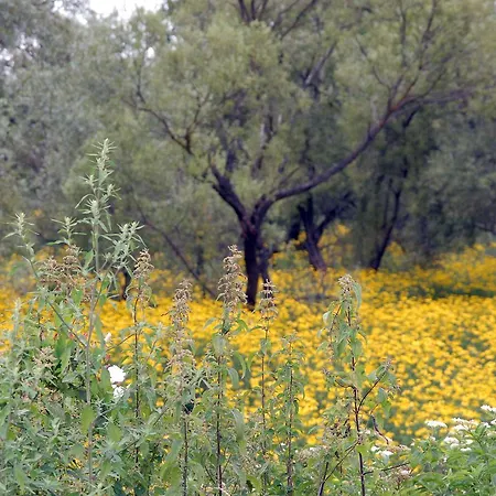 туристично розважальний комплекс 